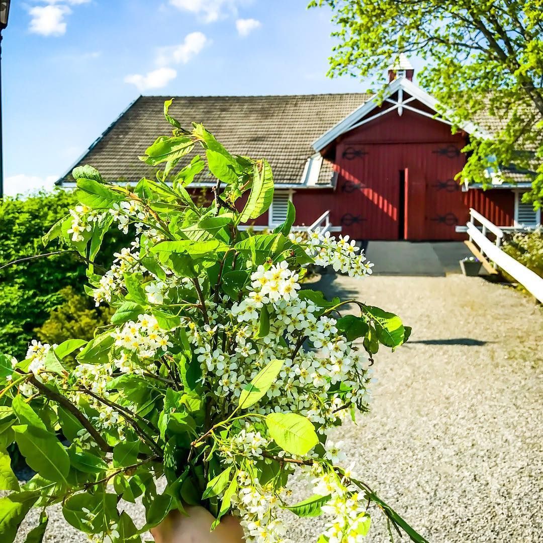 Blomster foran låvedør