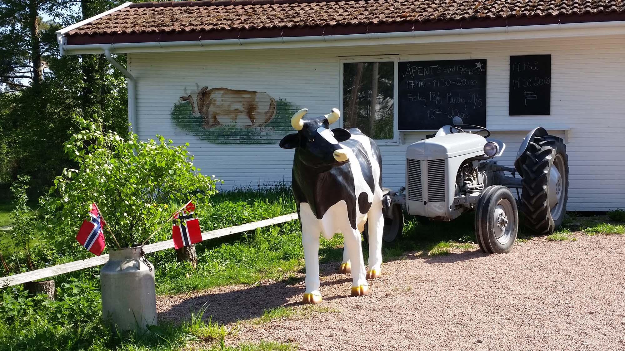 Dagro's cafe cow statue, tractor and cafe in the background