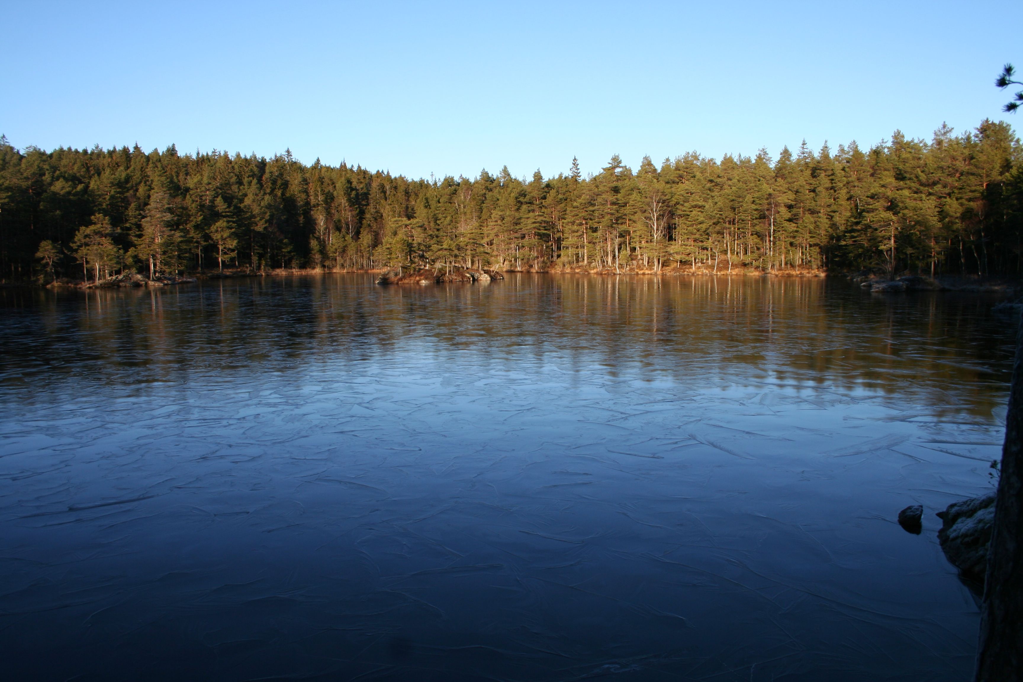 Tur i skogen