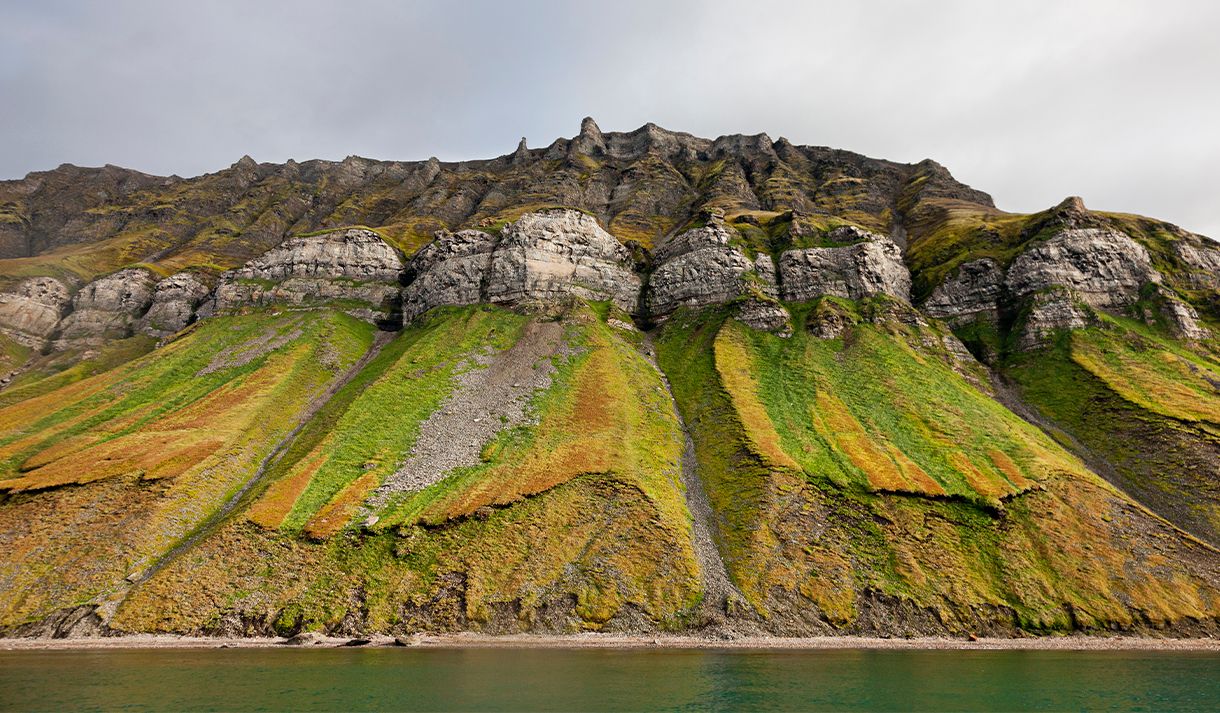 Fjellsider med grønn vegetasjon og fugleklipper høyt oppe i fjellet, med en strand og fjord i forgrunnen