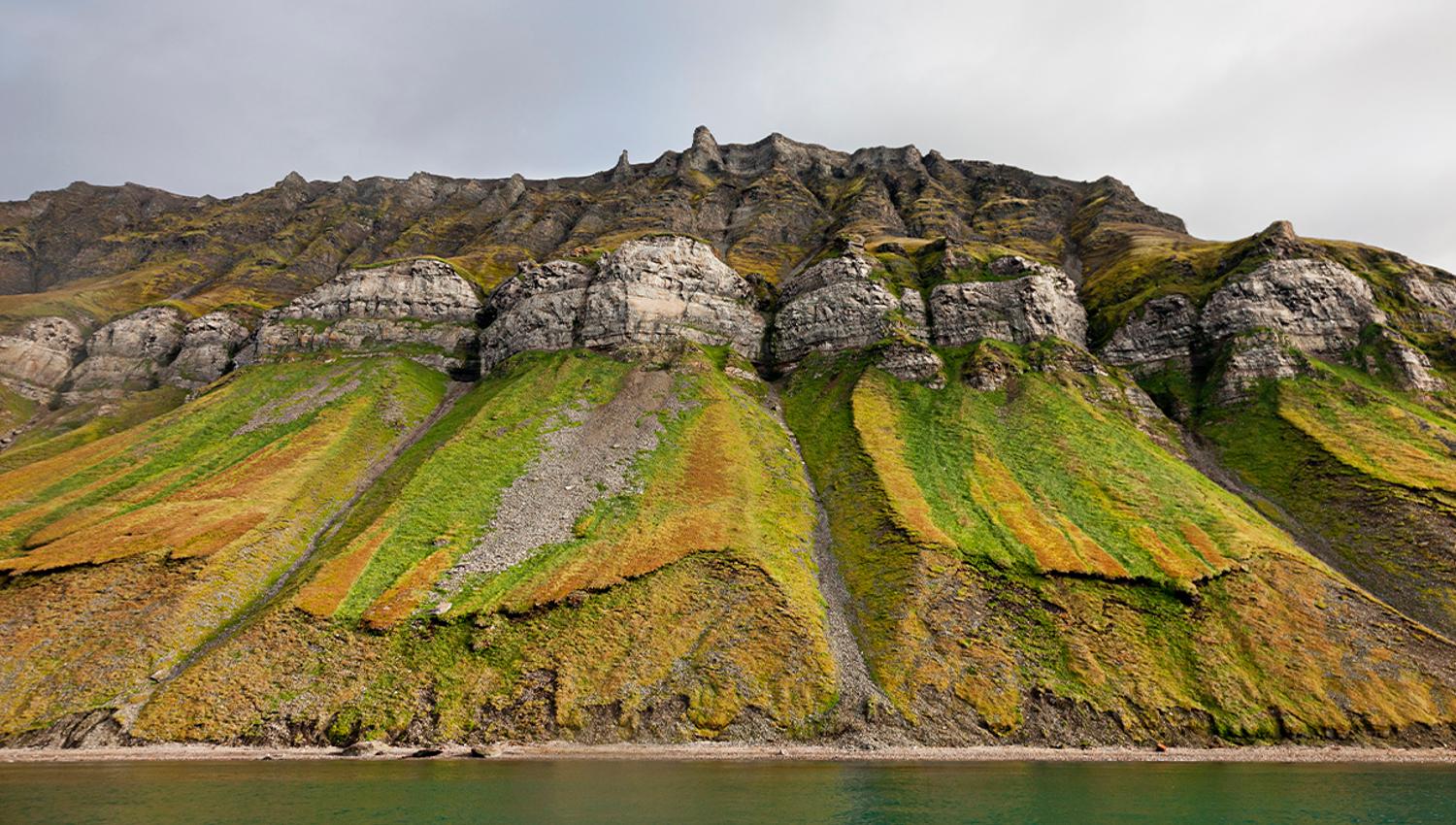 Fjellsider med grønn vegetasjon og fugleklipper høyt oppe i fjellet, med en strand og fjord i forgrunnen