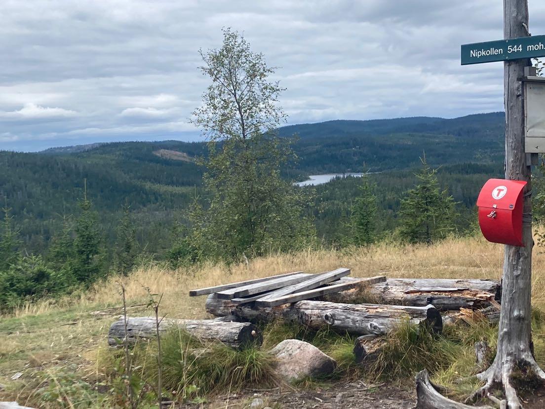 Sommer