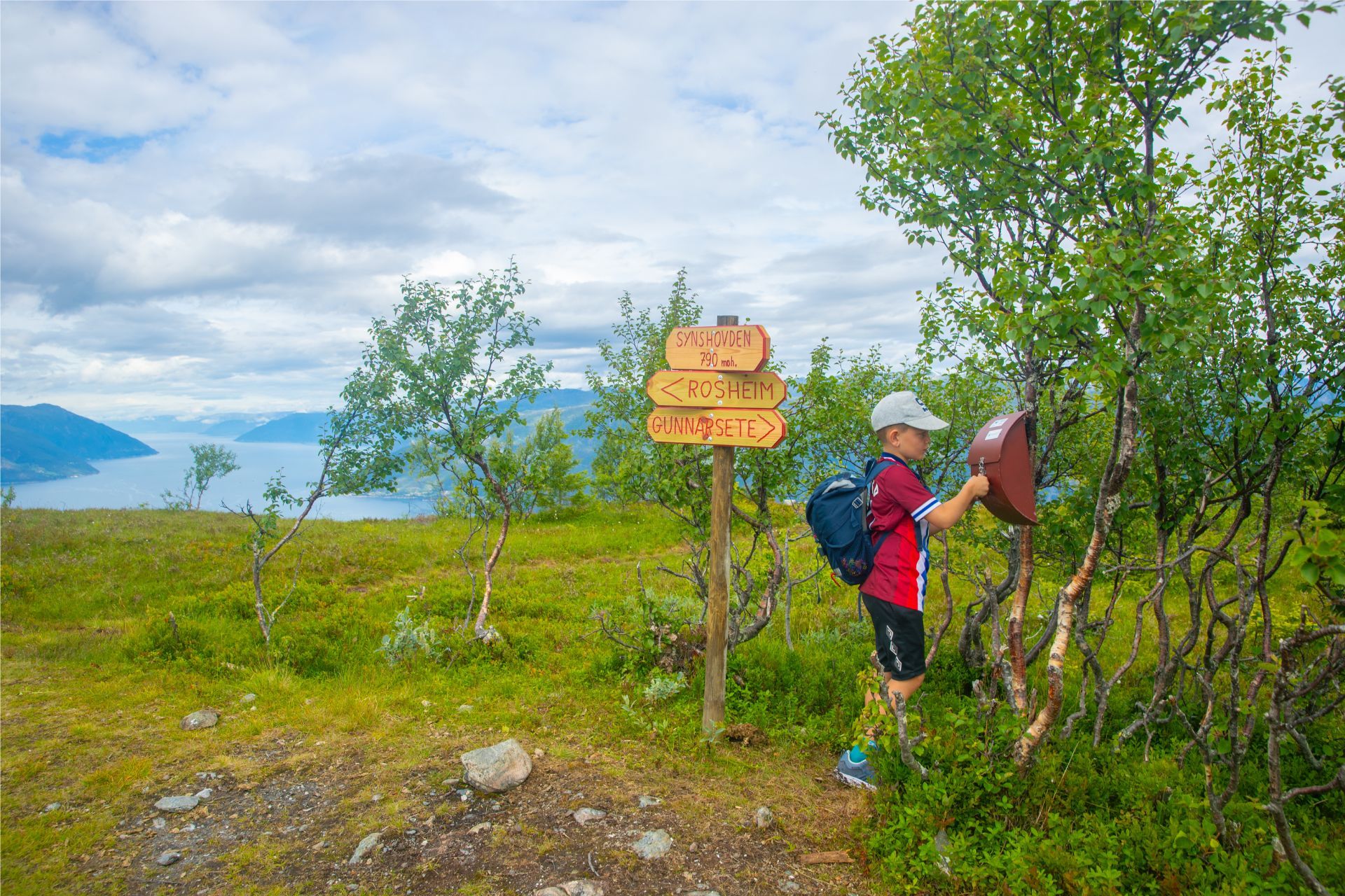 Hike to Synshovden, Vik