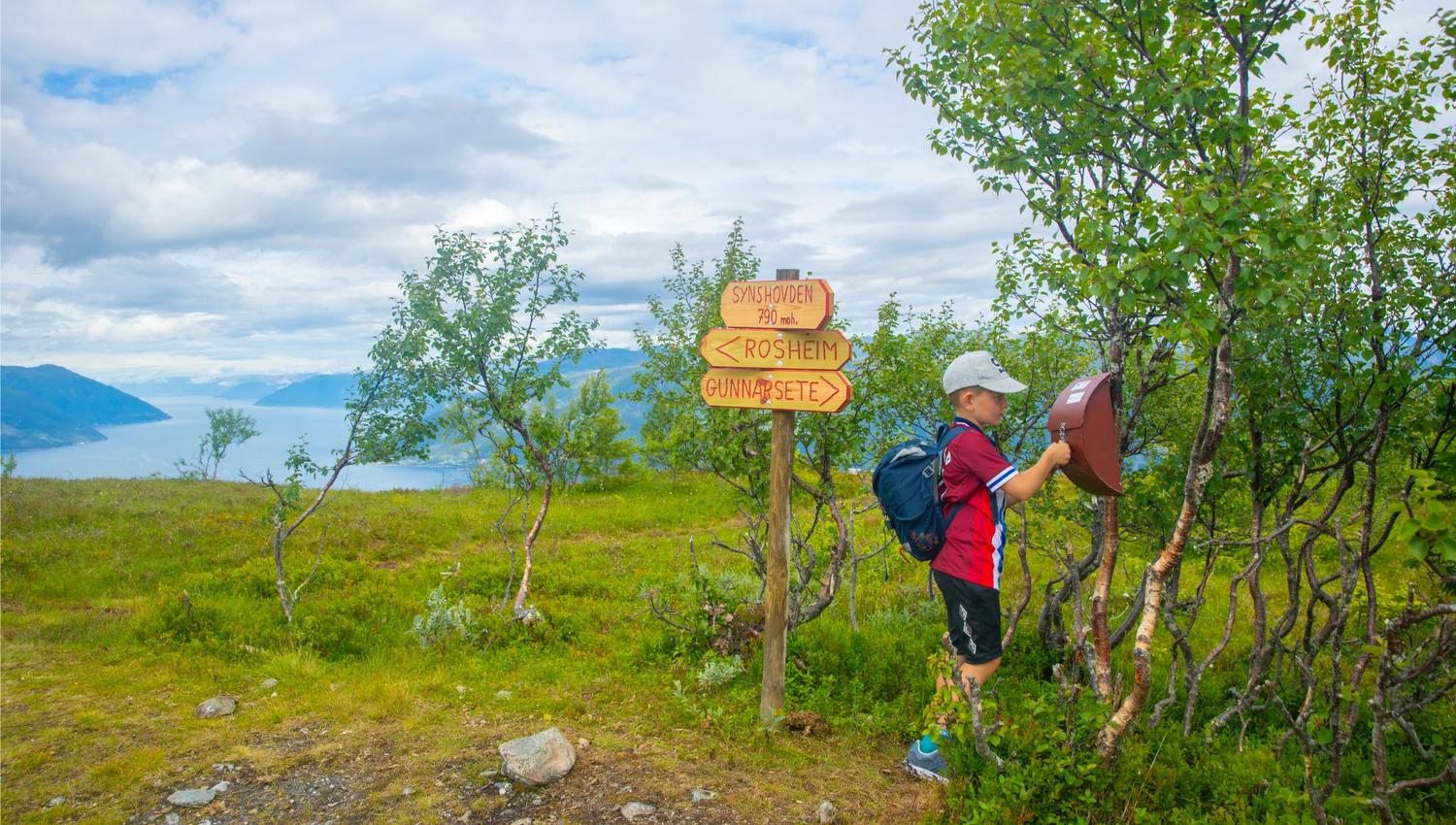 Hike to Synshovden, Vik