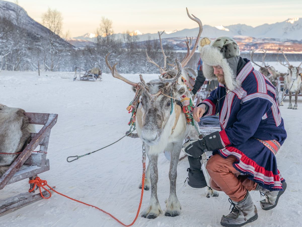 Sámi guide with a reindeer at Tromsø Lapland’s winter camp near Tromsø.