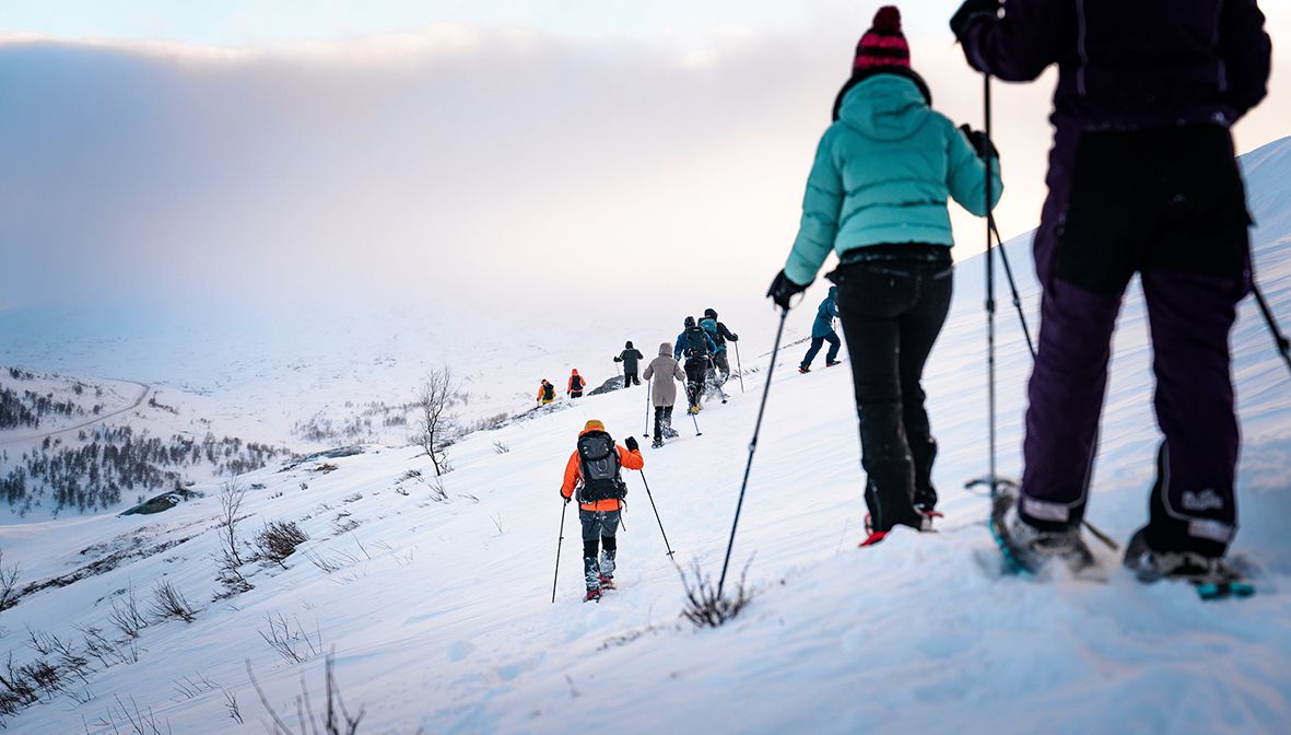 Group snowshoeing up the mountainside in the winter landscape.
