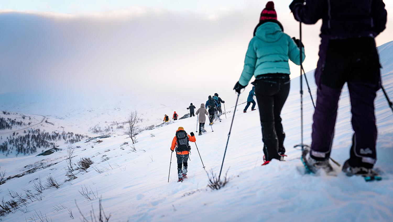 Group snowshoeing up the mountainside in the winter landscape.