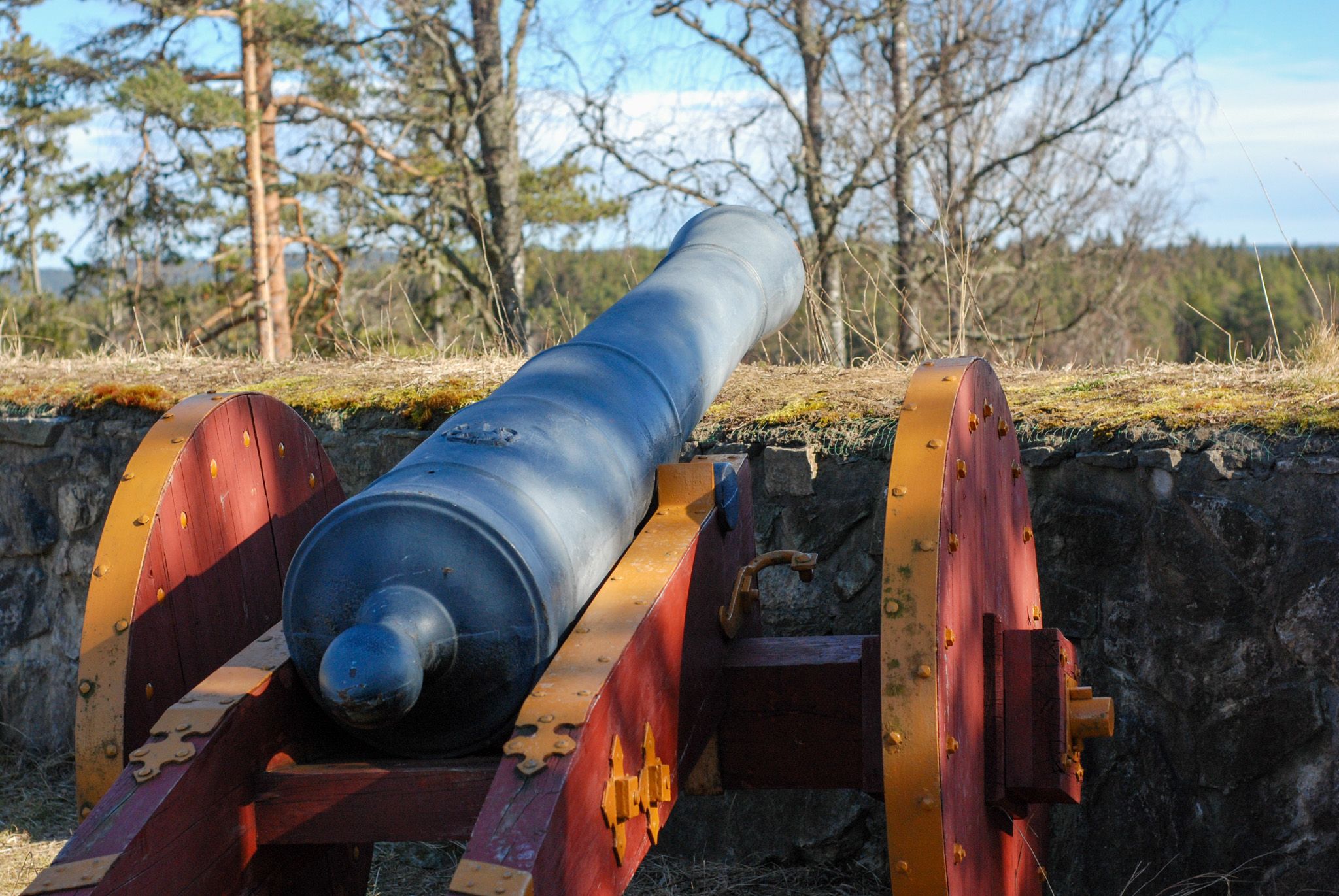 cannon 