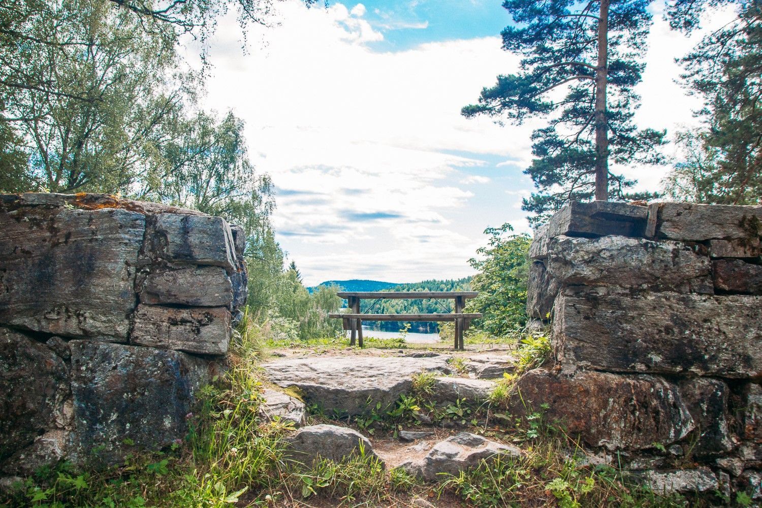 bench with table to take a break in the forest