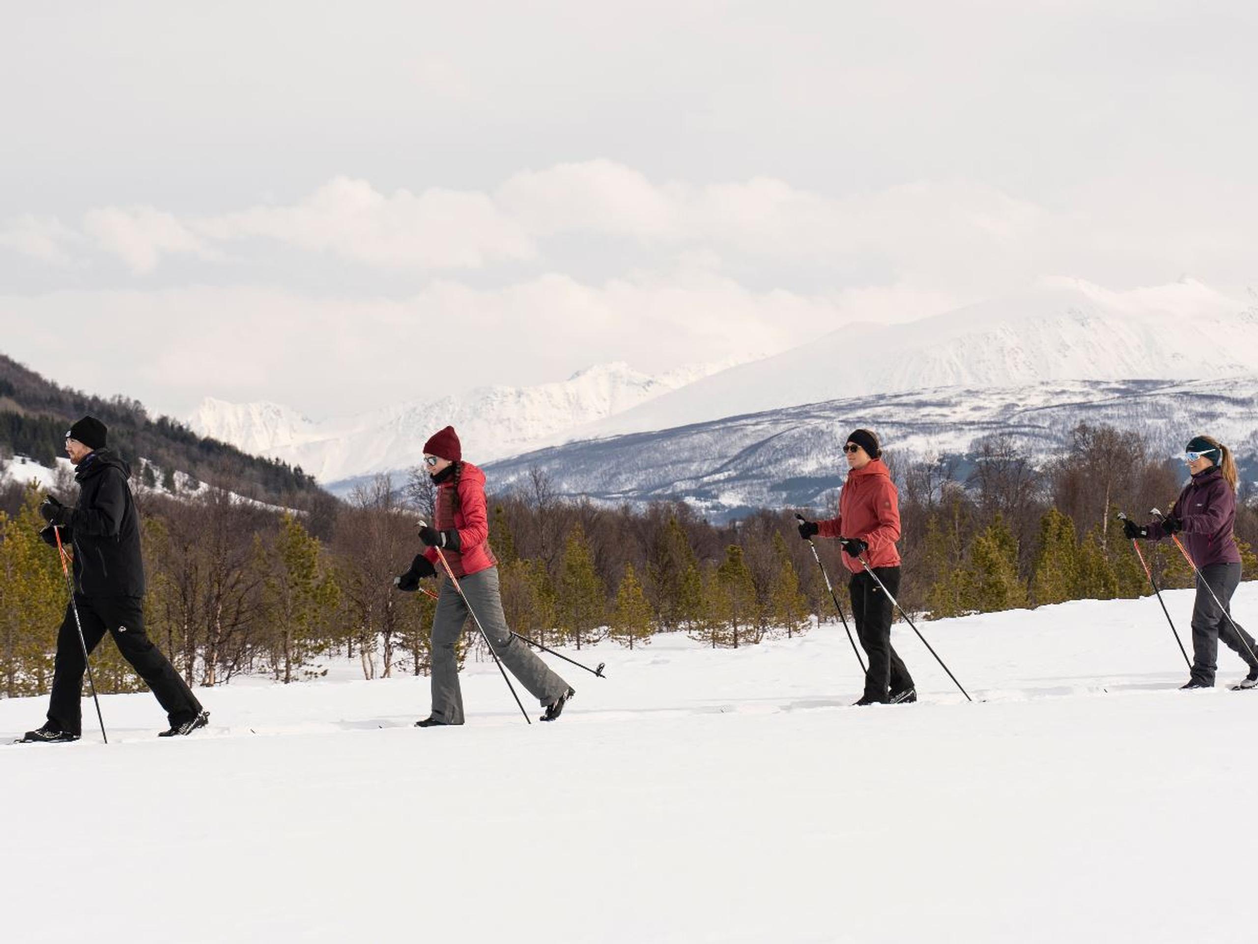 Introduction to Cross-Country Skiing & Husky Visit