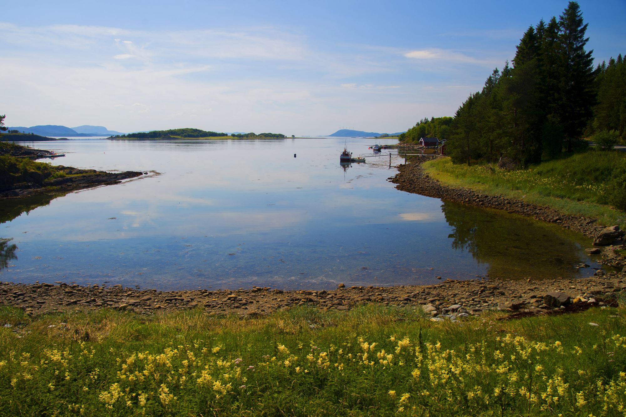 Halvdagstur med sykkel Rørvik - Abelvær