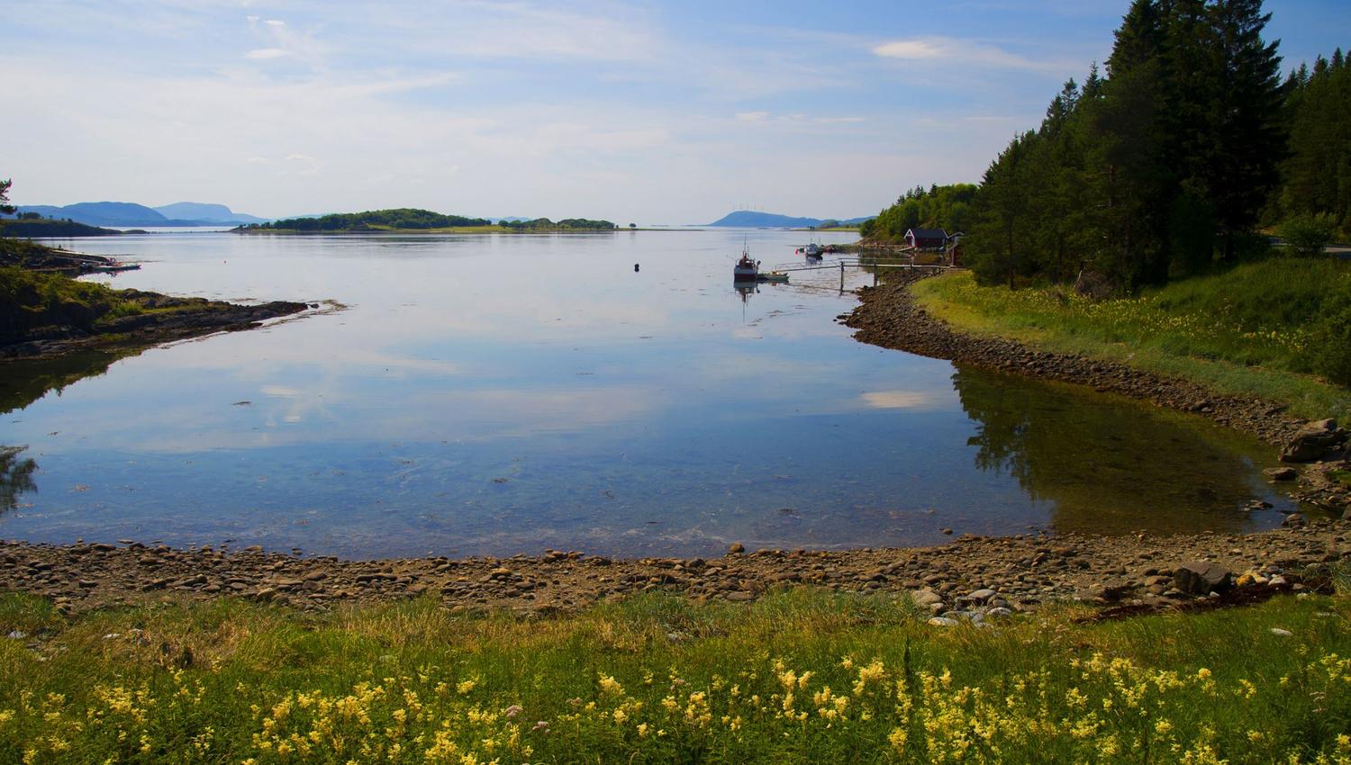 Halvdagstur med sykkel Rørvik - Abelvær