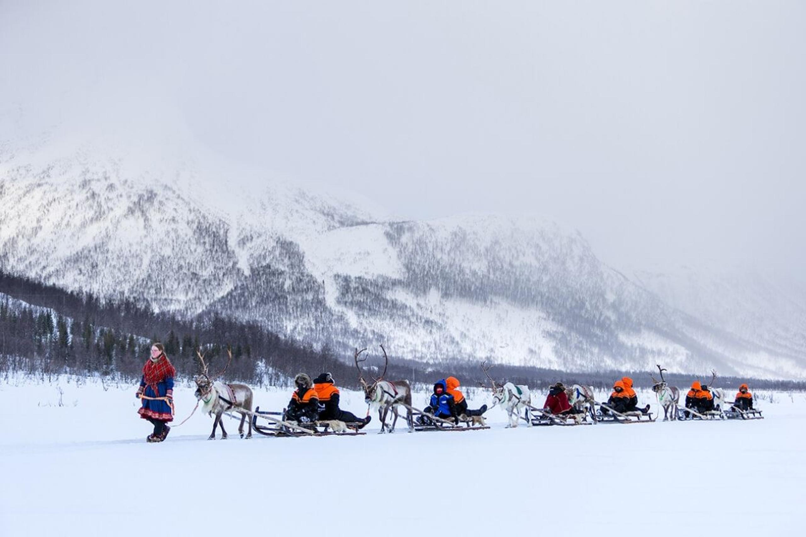 Guests on a reindeer sledding tour through the winter landscape at Camp Tamok