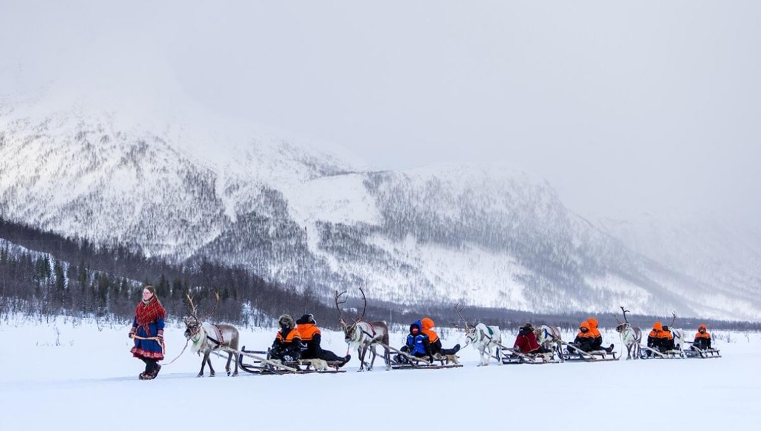 Guests on a reindeer sledding tour through the winter landscape at Camp Tamok