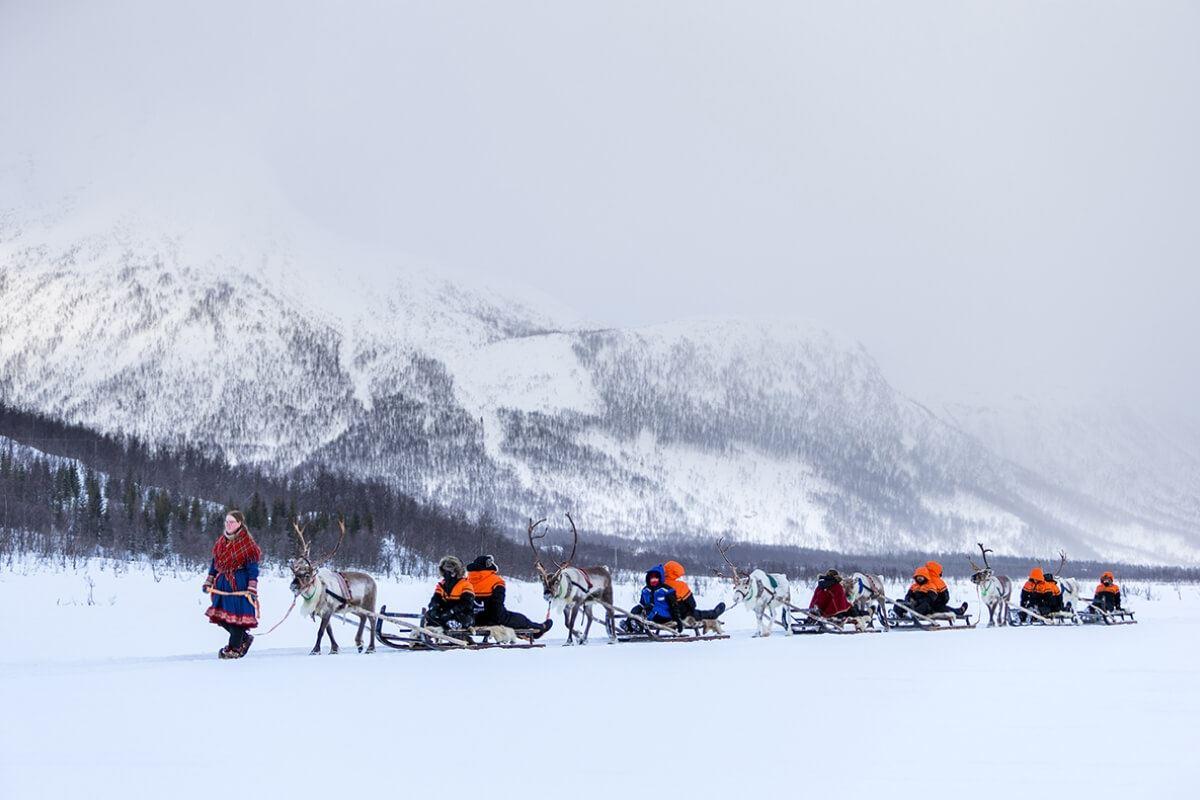 Guests on a reindeer sledding tour through the winter landscape at Camp Tamok