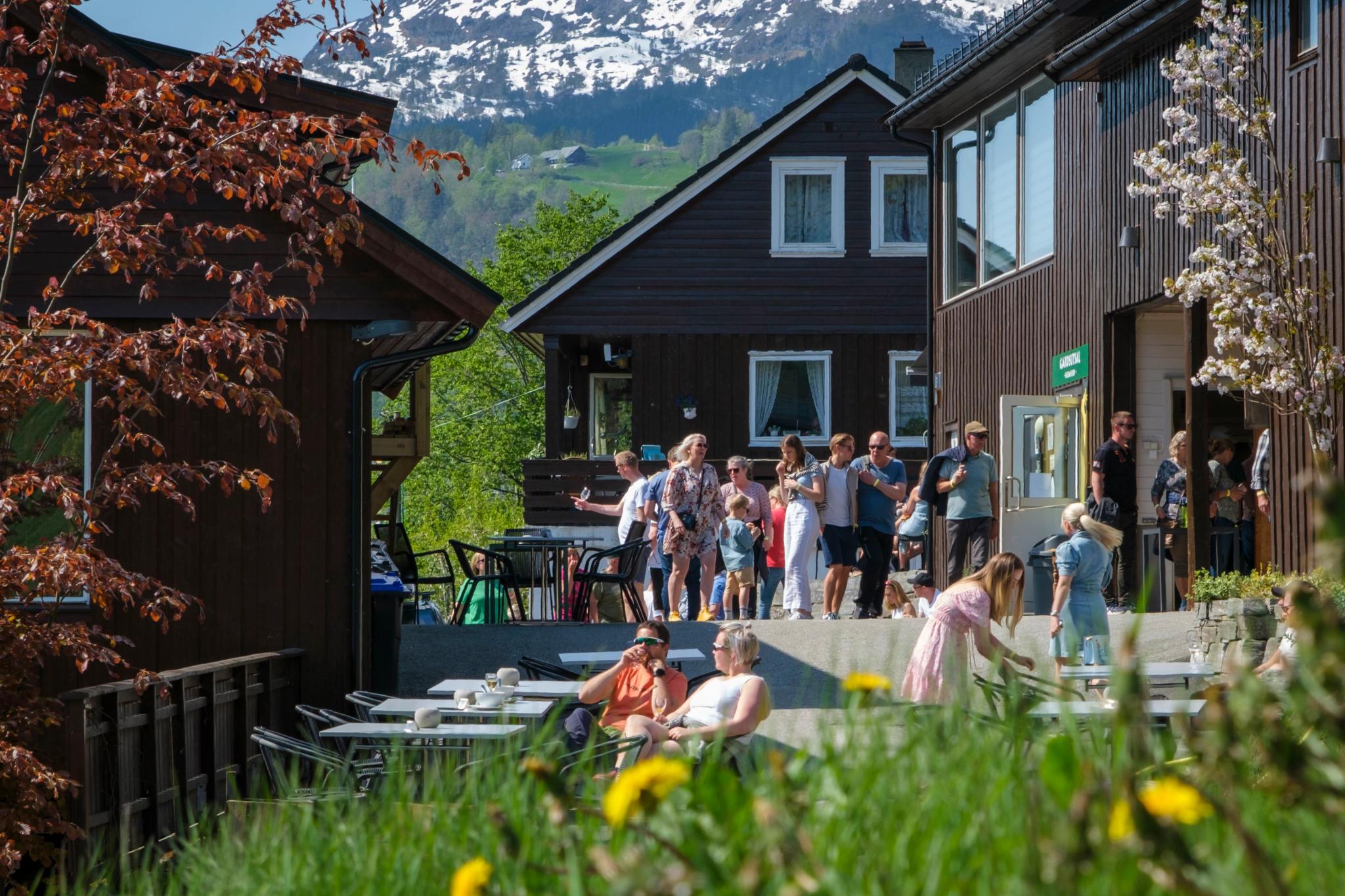 Omvisning og smaking på Frukt- og siderruta, Ulvik