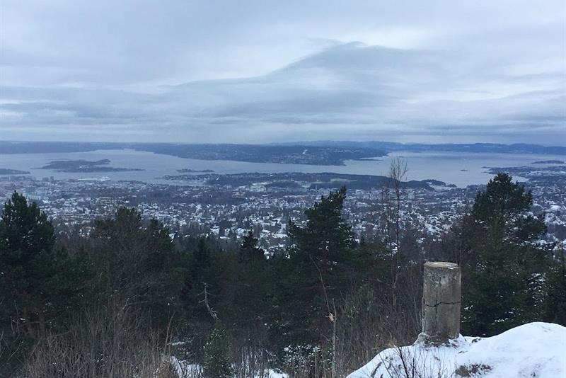 Utsikt over Oslo fra skiløypene