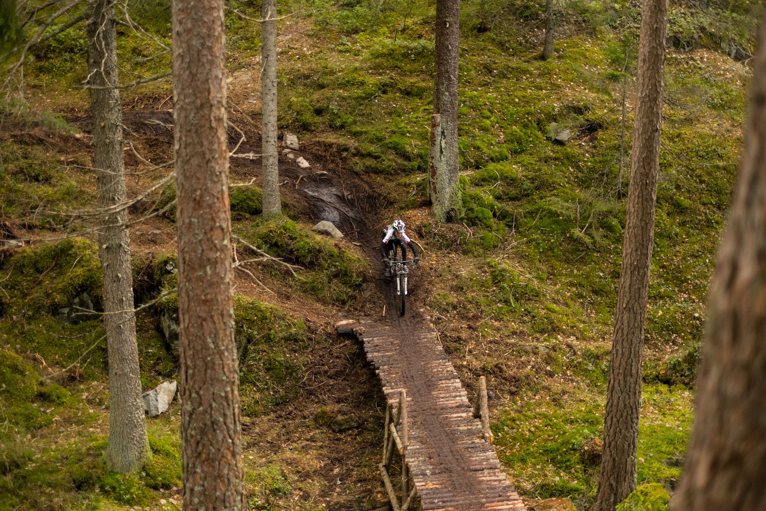 cyclist on a mountain bike on a wooden path in the forest