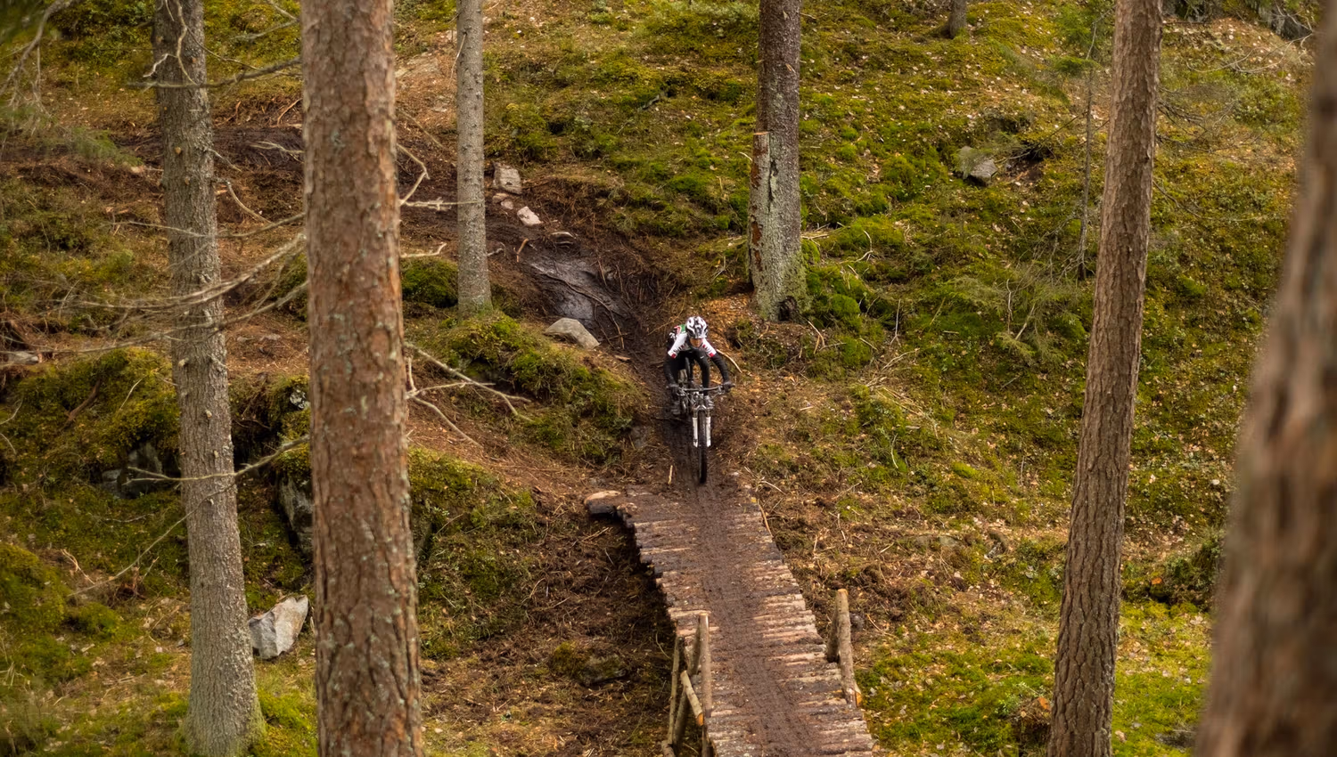 cyclist on a mountain bike on a wooden path in the forest