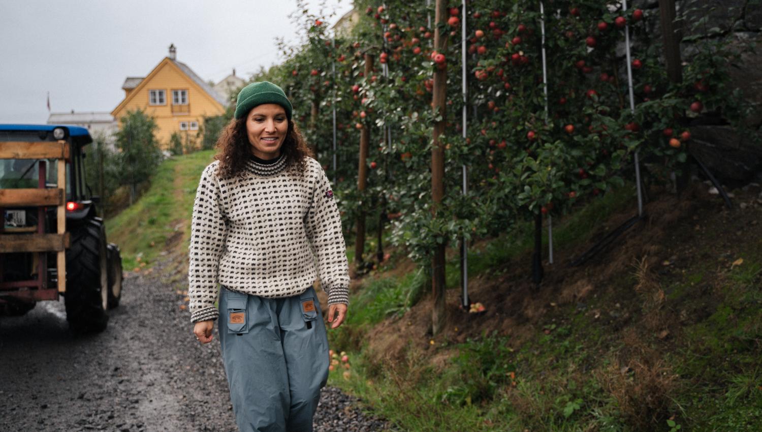 Farm life and apple harvest at Edel Sider in Hardanger.