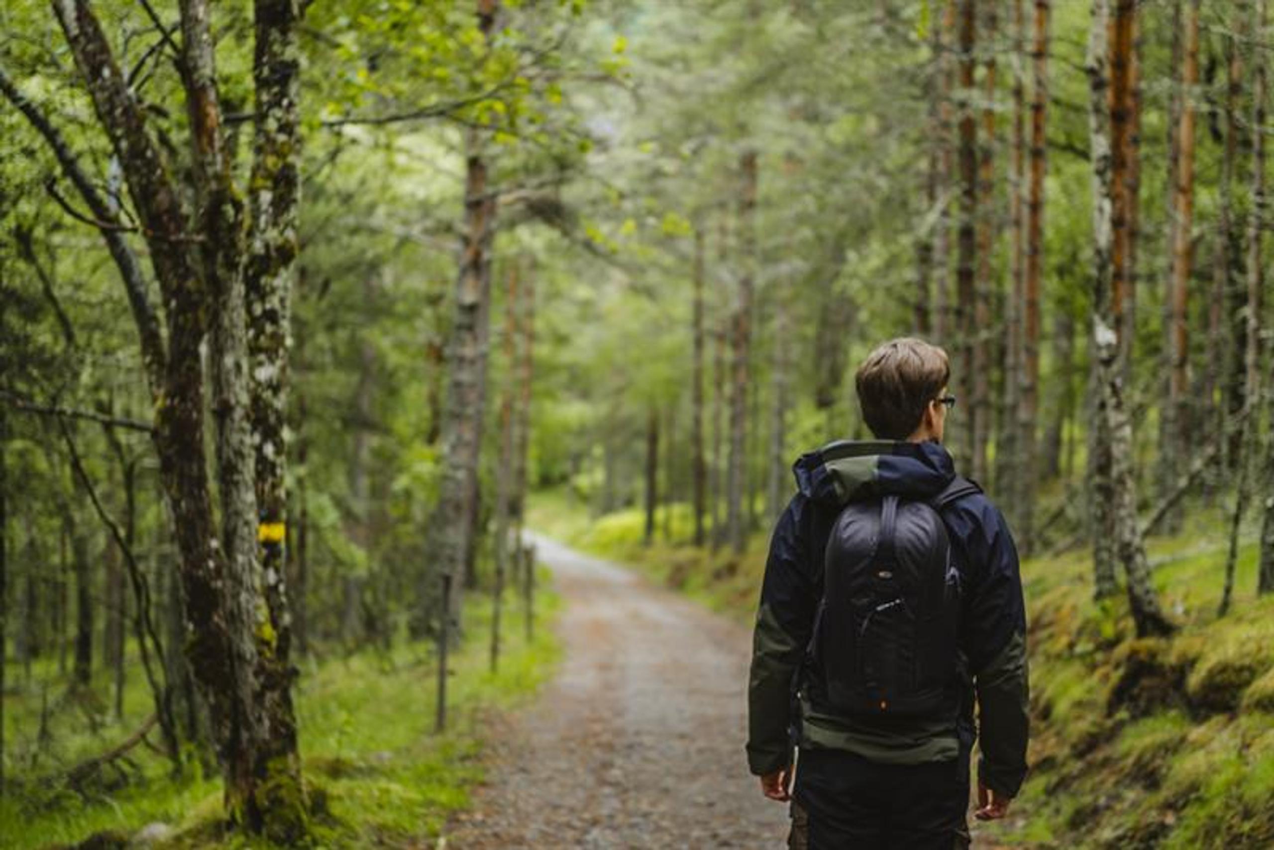A man walking on a gravel road surrounded by trees.
