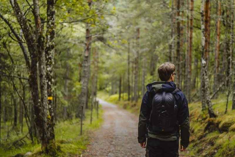 A man walking on a gravel road surrounded by trees.