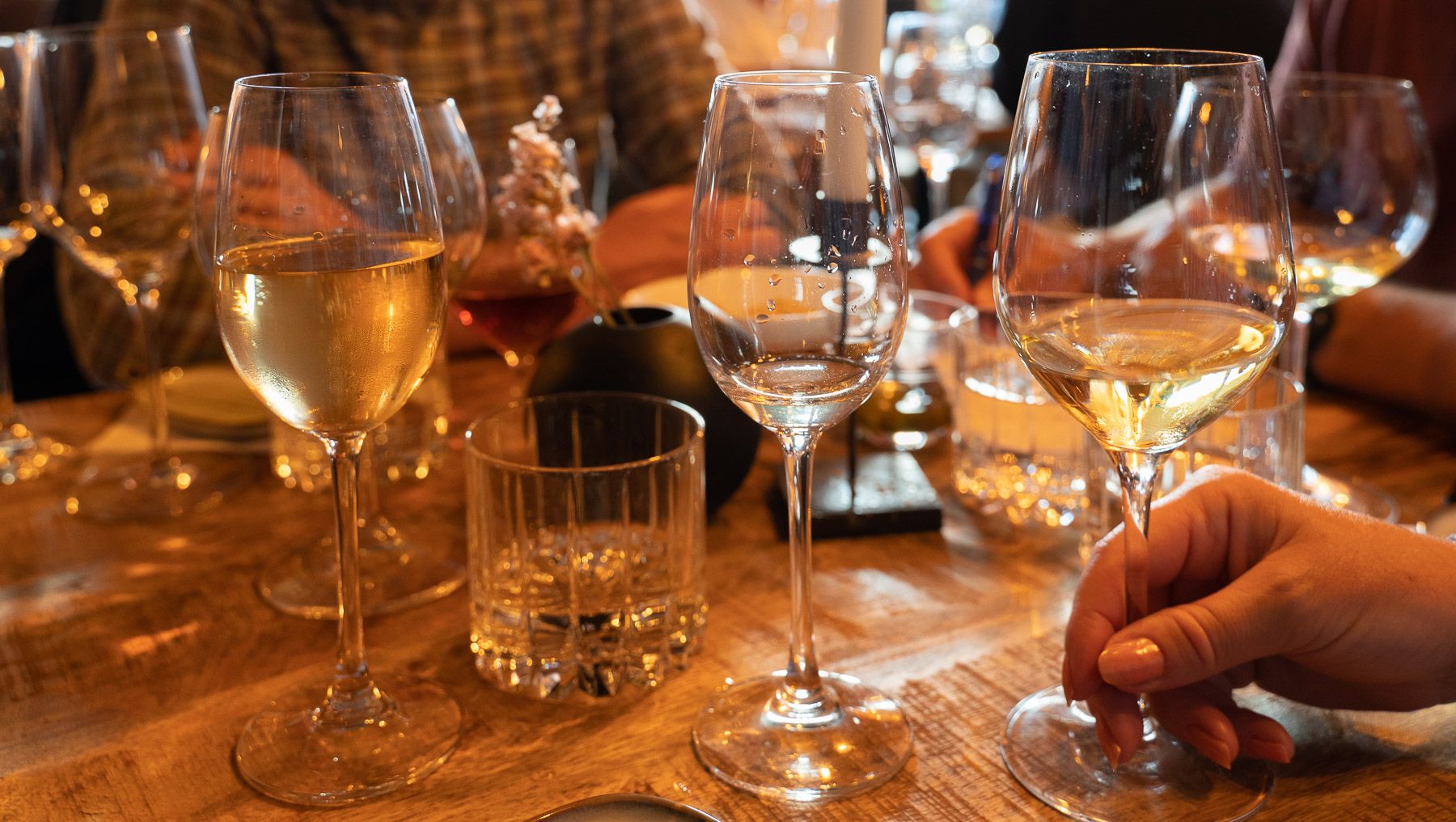 Wineglasses