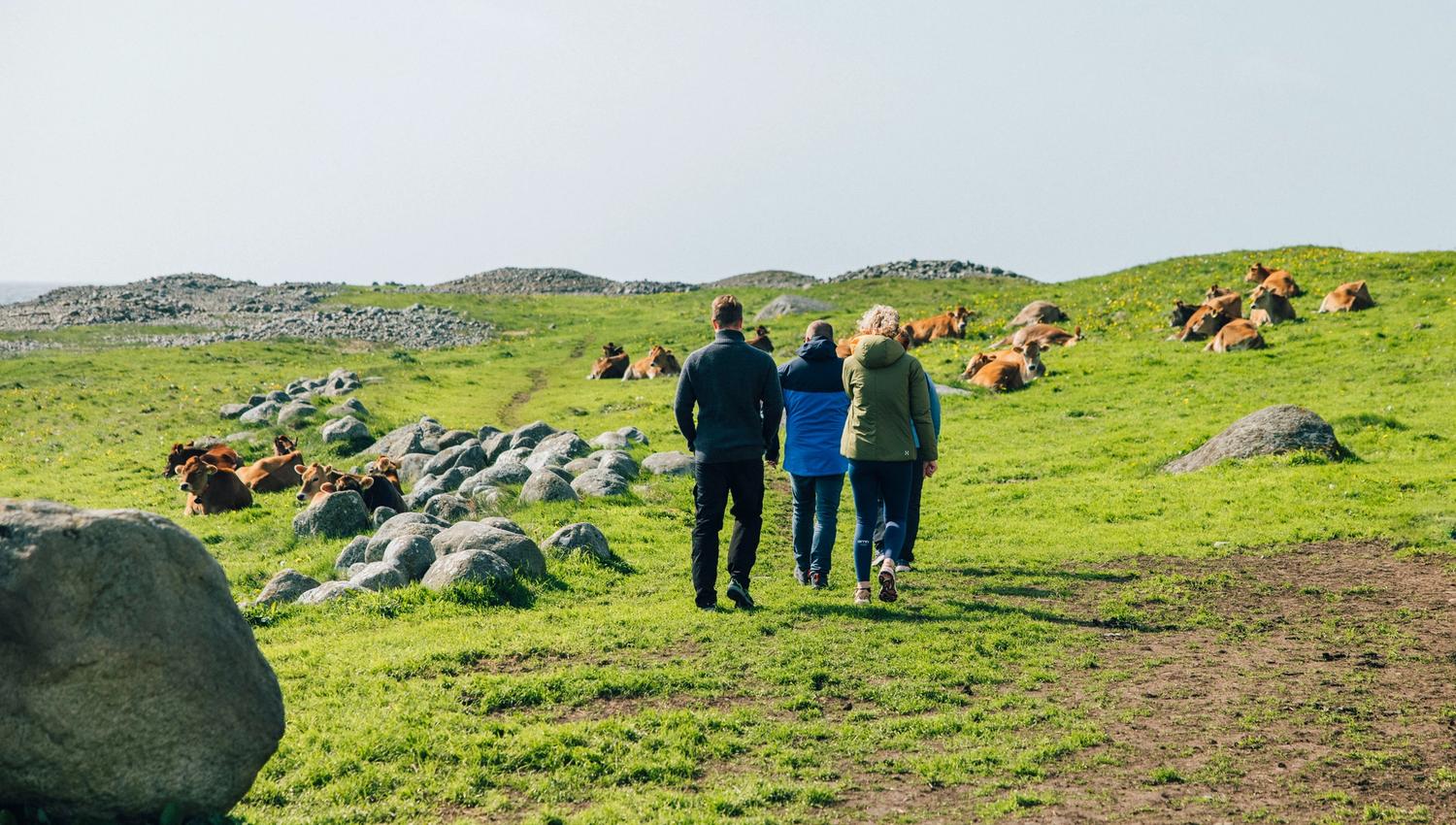 Beitemark ved Kvassheim
