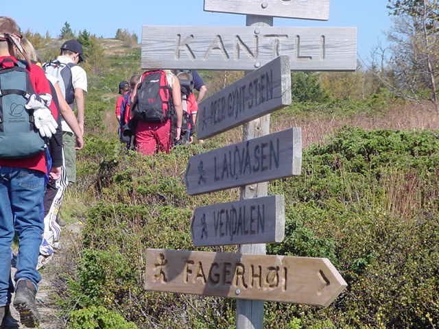Vandring
