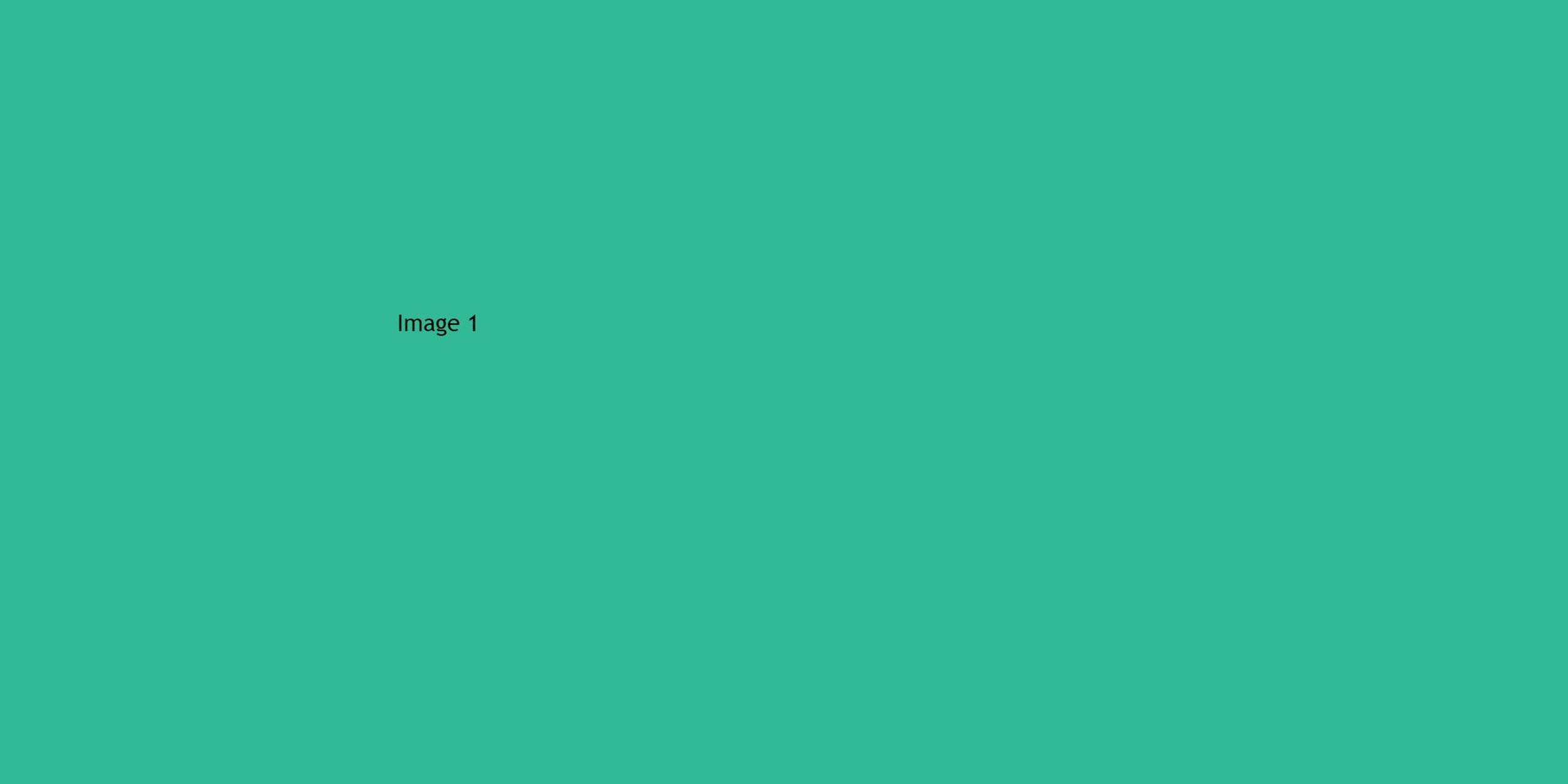 This is the image ALT Text. -2