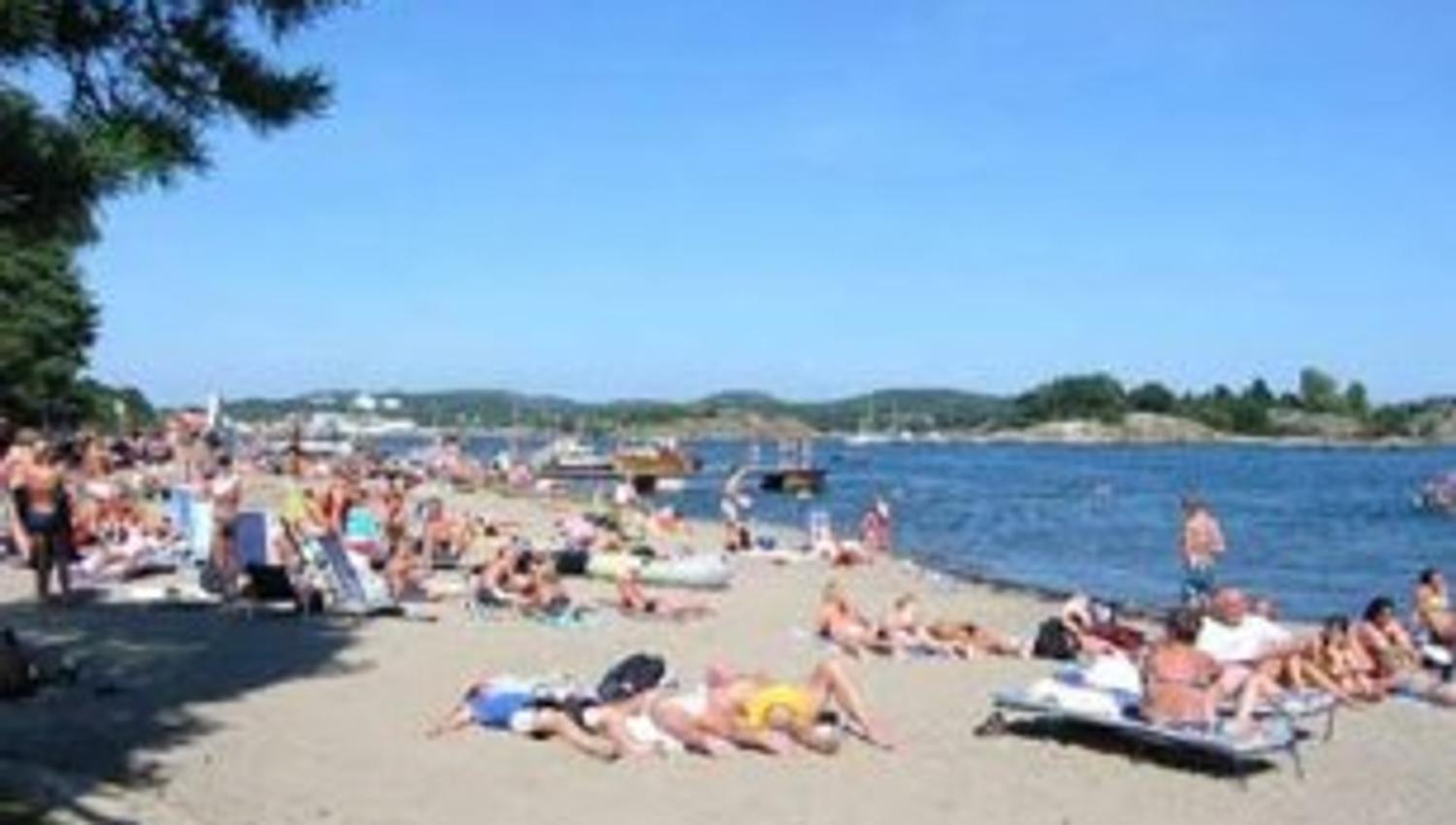 Granholmen Camping