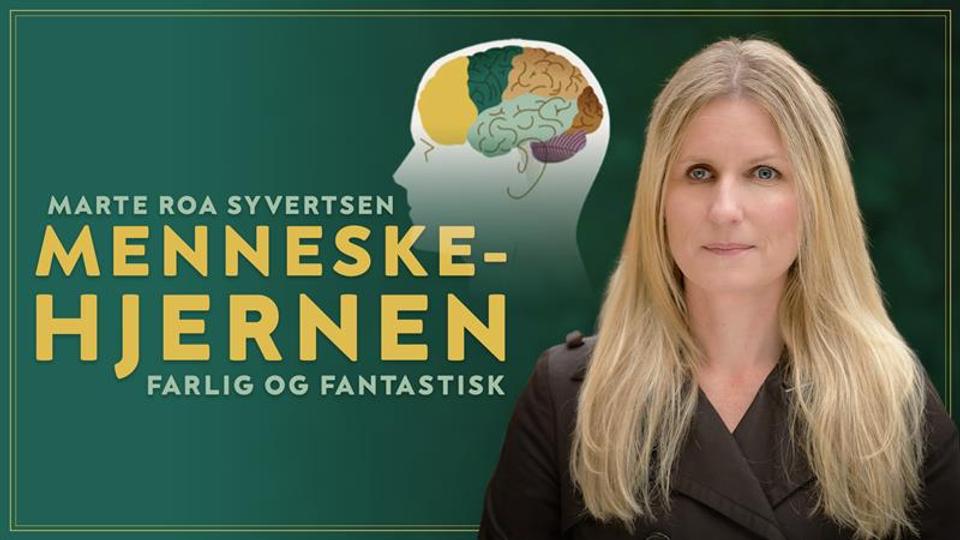 Menneskehjernen