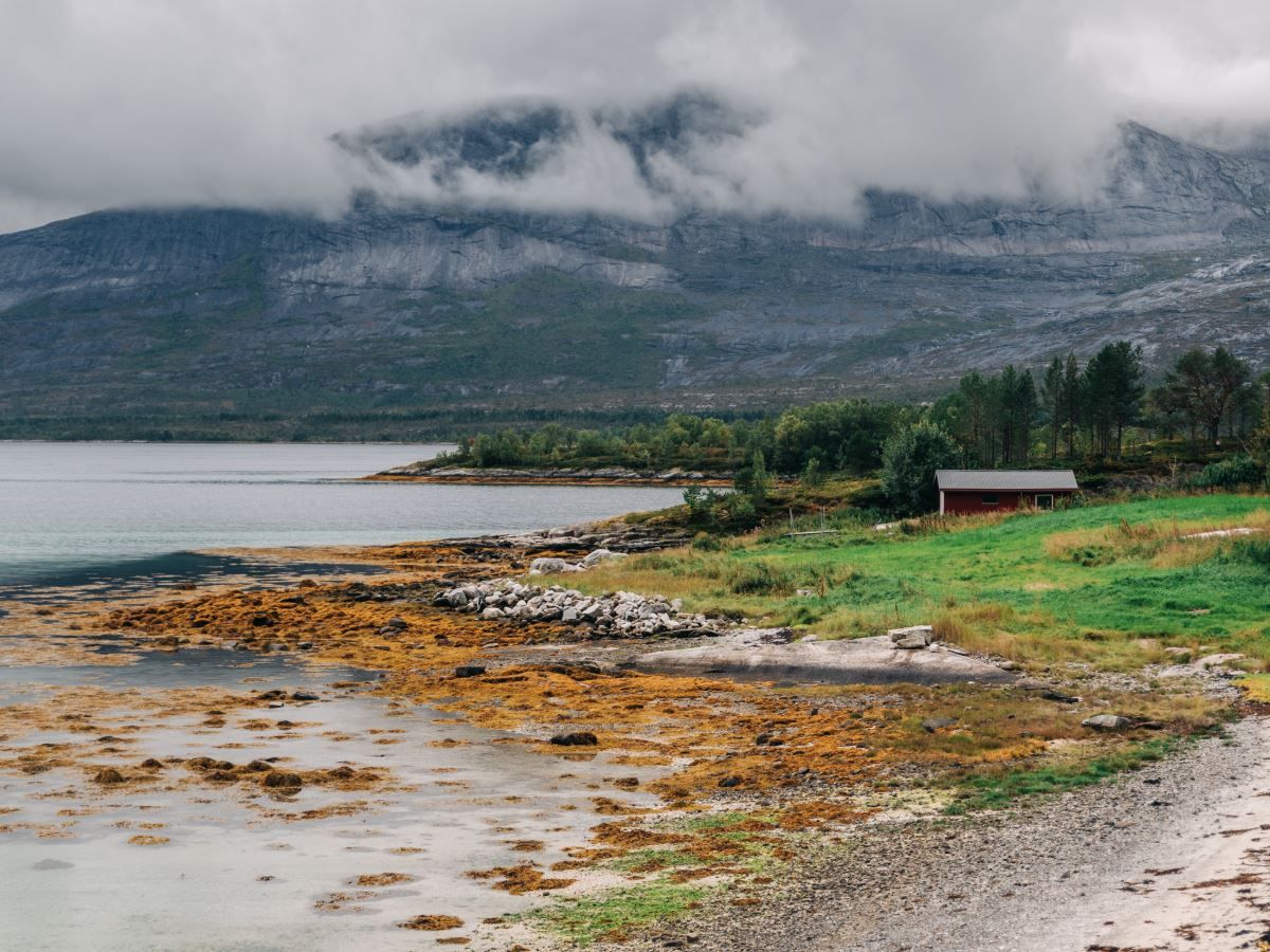 Steinete fjære ved rolig vann med tang, grønn eng og en rød hytte, med fjell og lave skyer i bakgrunnen..