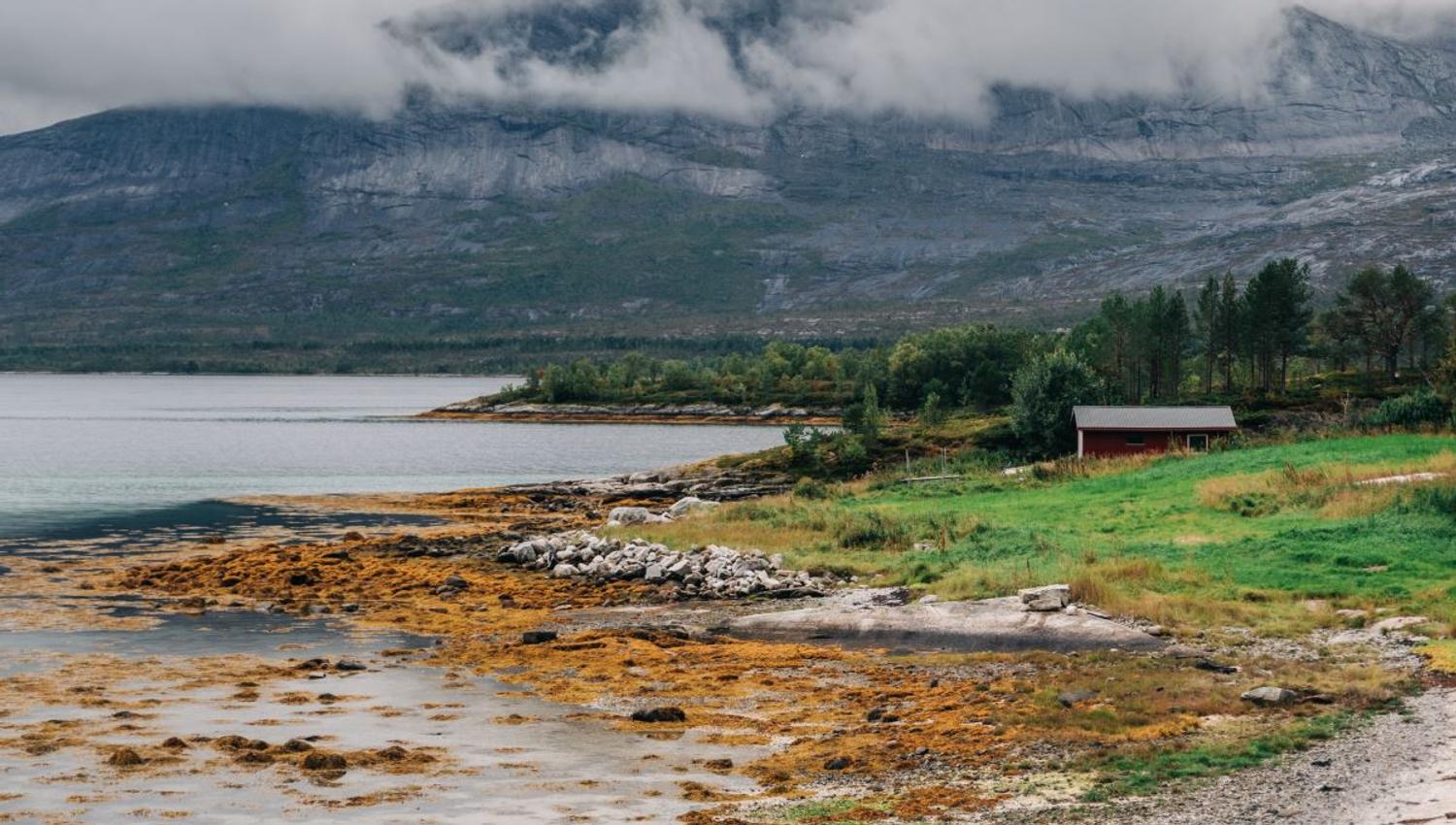 Steinete fjære ved rolig vann med tang, grønn eng og en rød hytte, med fjell og lave skyer i bakgrunnen..