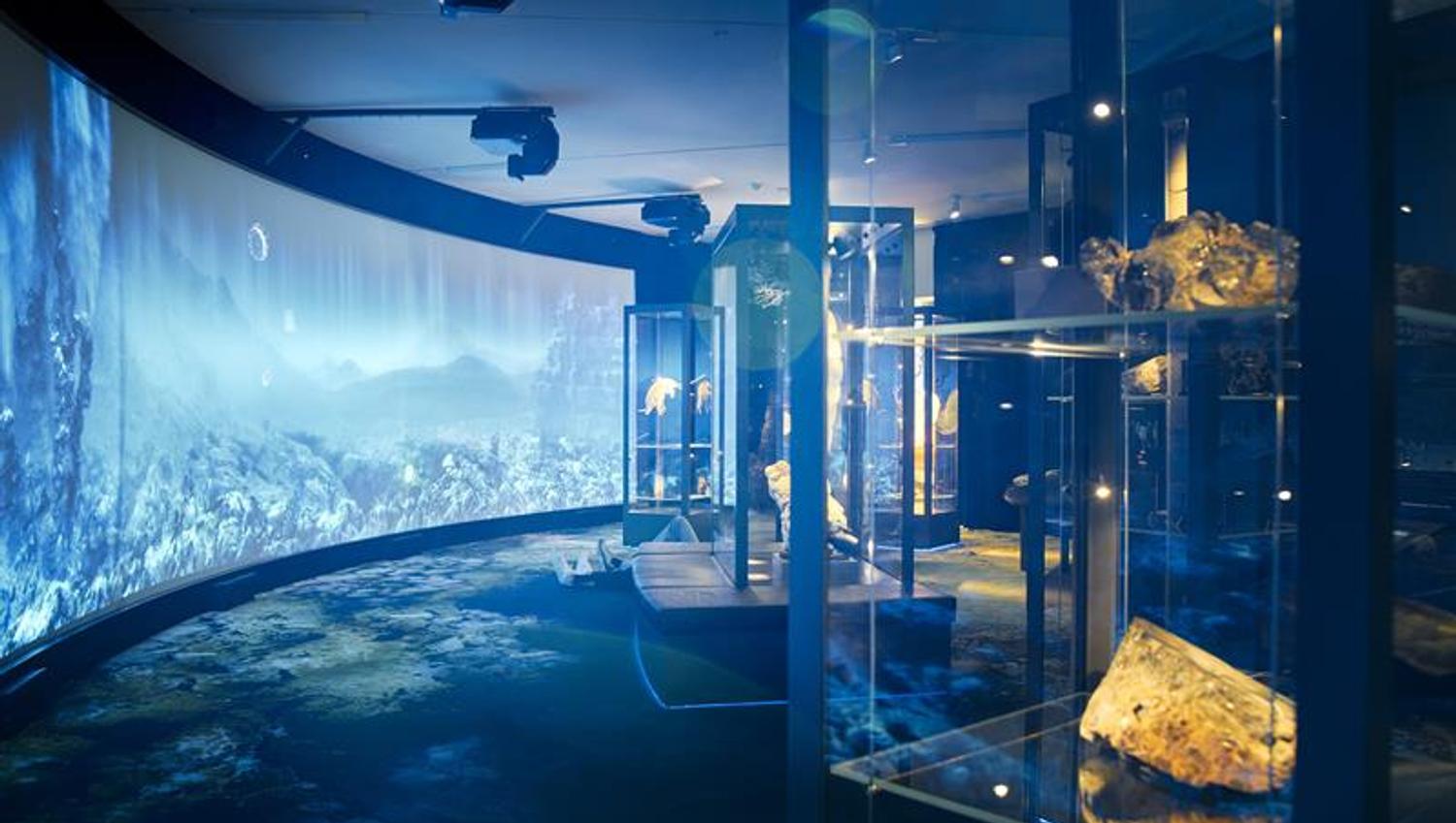 The University Museum of Bergen