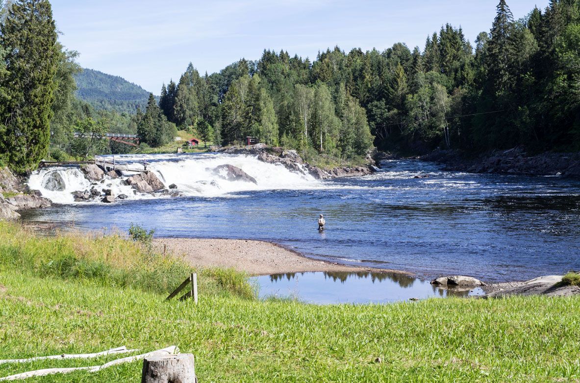 Green lawn, green forest, blue water in the river, waterfall
