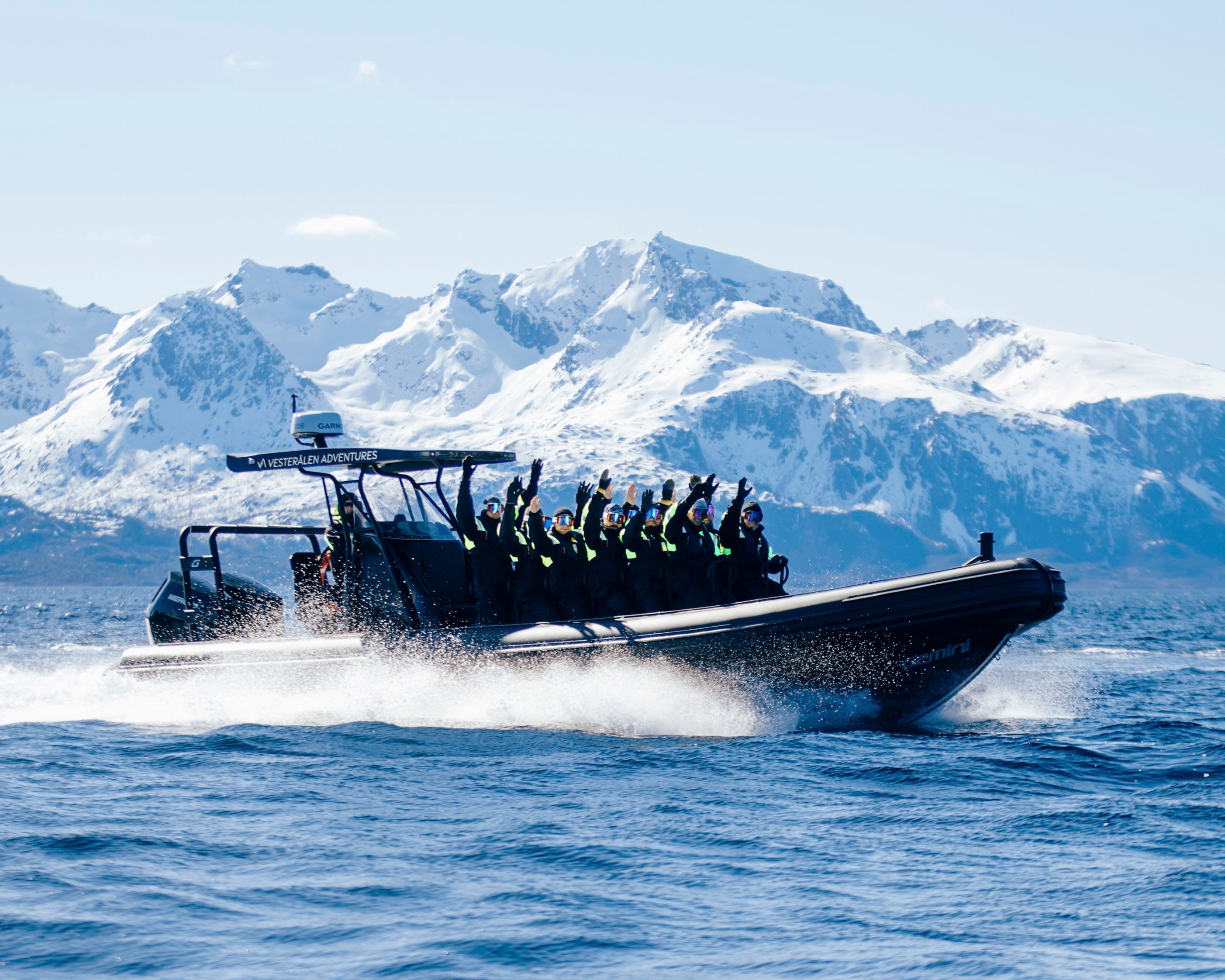 RIB-turer med Vesterålen Adventures