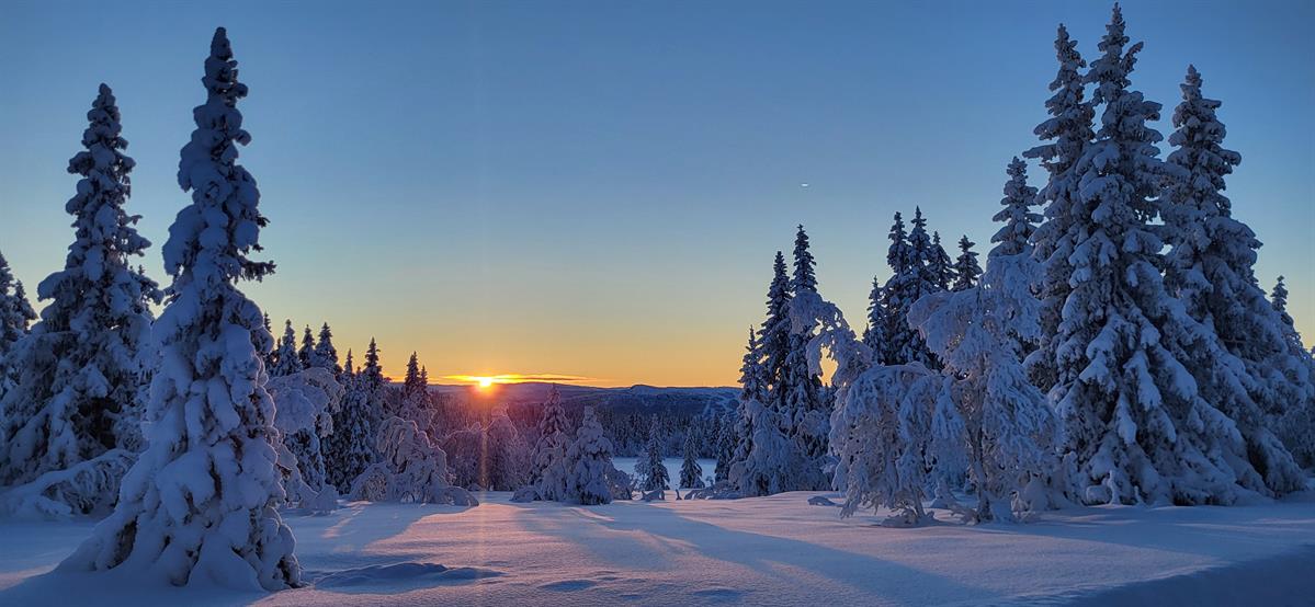 Winter wonderland på Ringebufjellet
