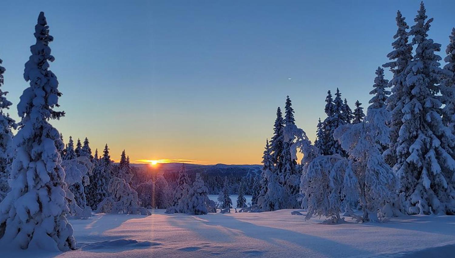 Winter wonderland på Ringebufjellet