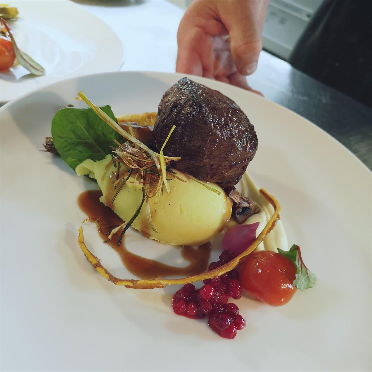 elk beef