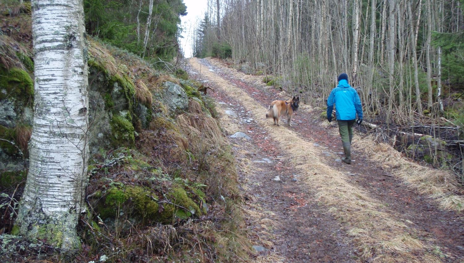 Man and his dog hiking in the forrest