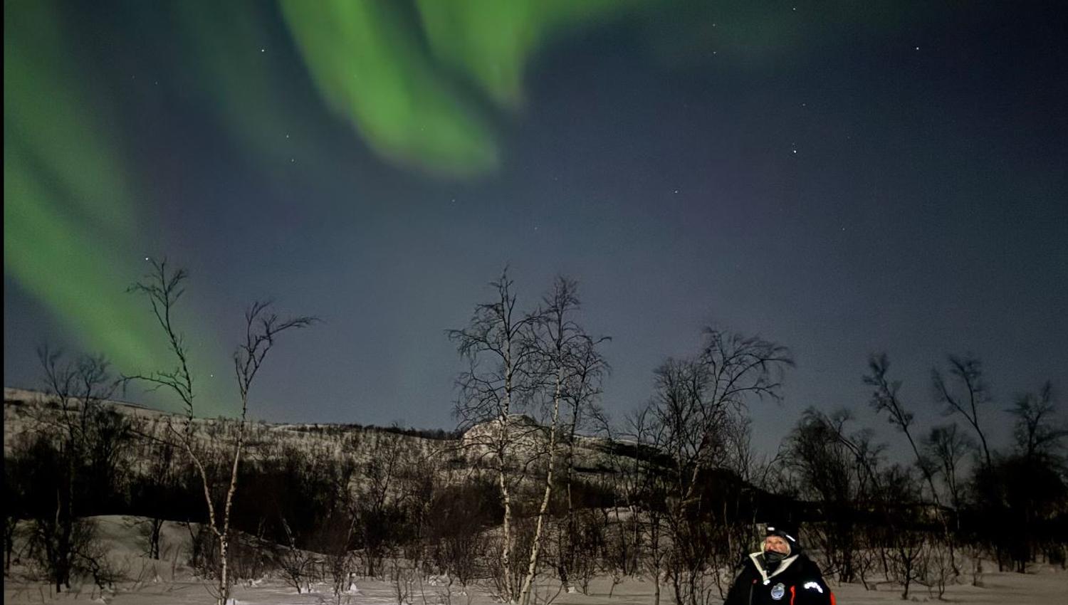 Musher under the Northern Lights in the snowy landscape of Skibotn Valley
