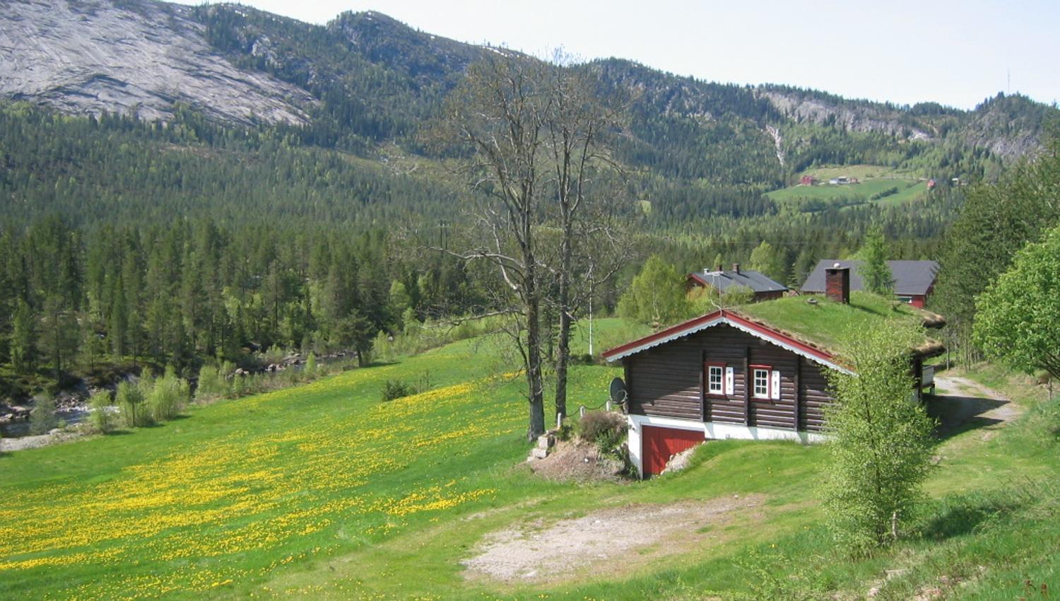 Hytte 1 mai 03 IMG_0023