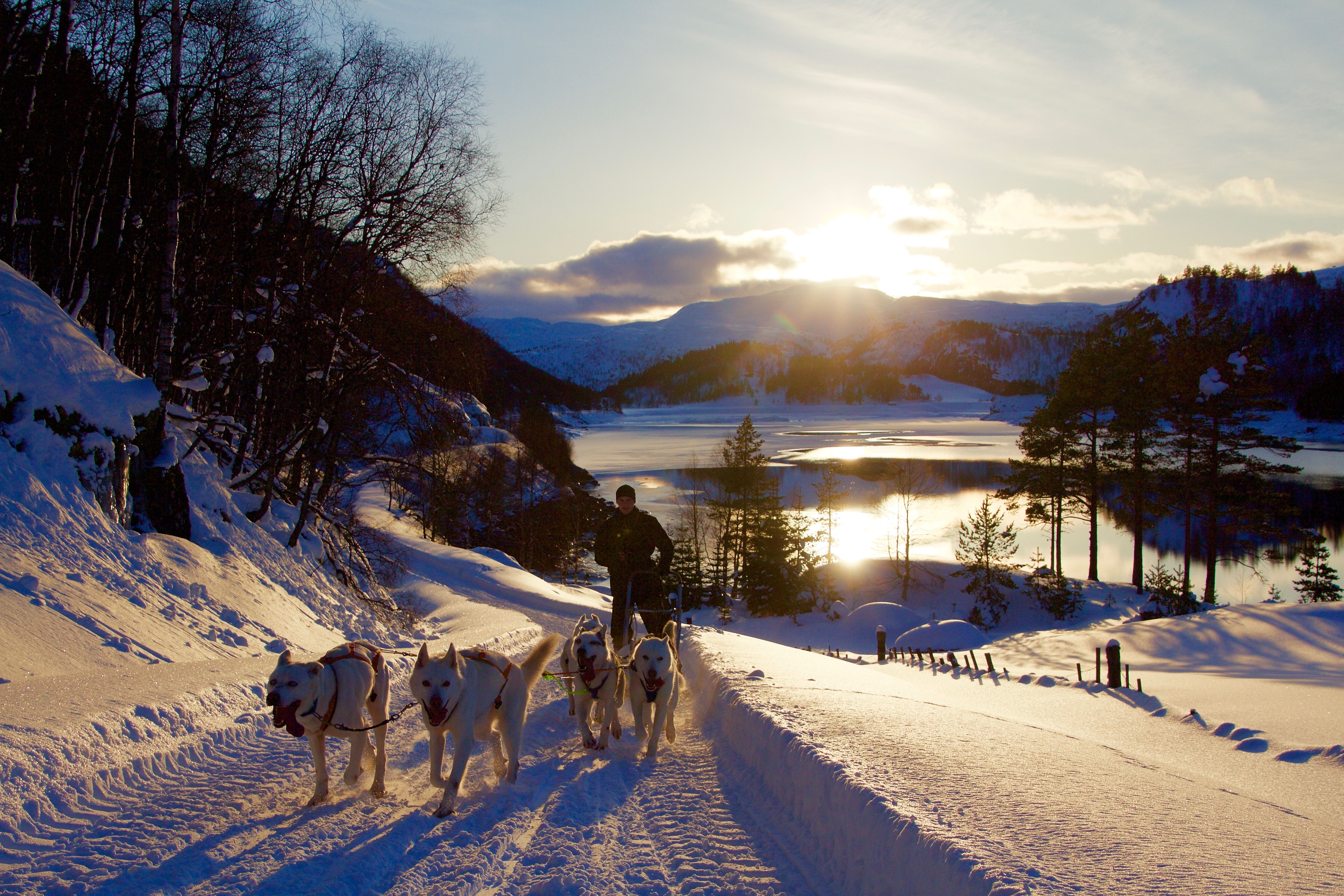Sirdal Huskyfarm