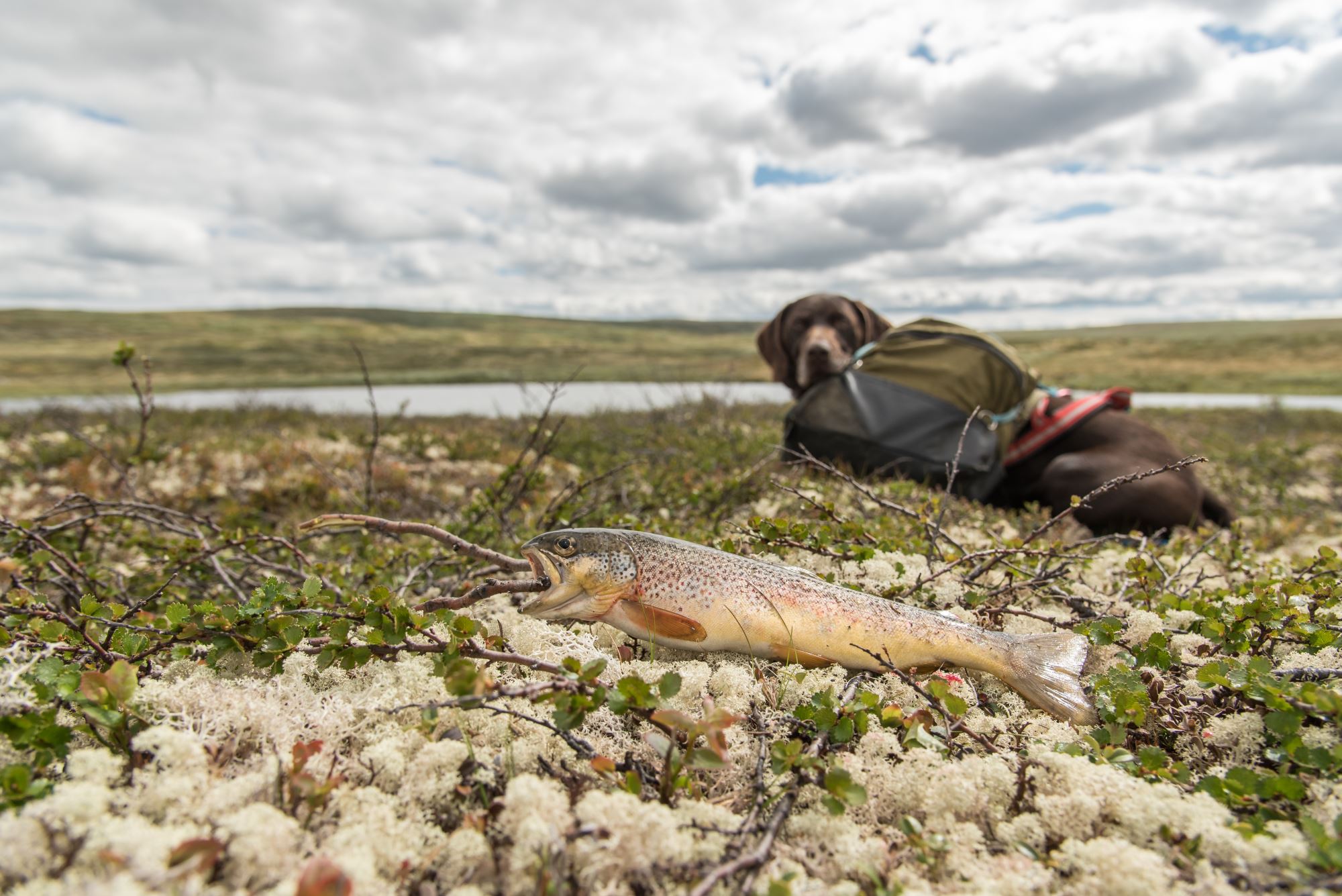 Fishing trip with personal guide.