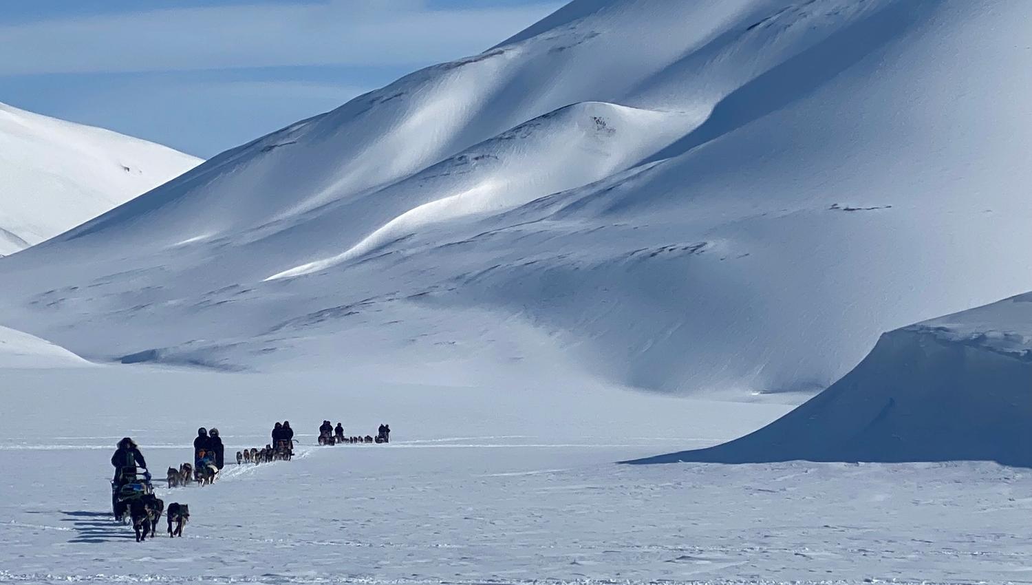 Hunder og personer som kjører hundesleder etter hverandre i forgrunnen i snødekte omgivelser, med et høyt tilsnødd fjell i bakgrunnen