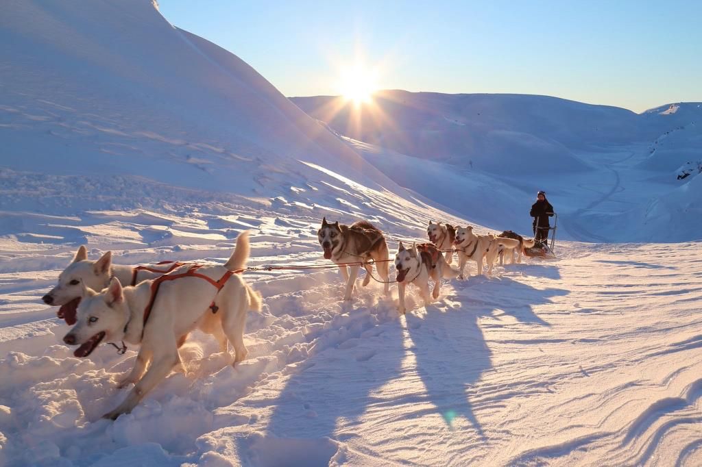 Sirdal Huskyfarm
