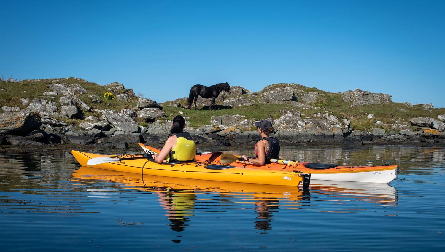 On Kvitsøy one will find many nice activities