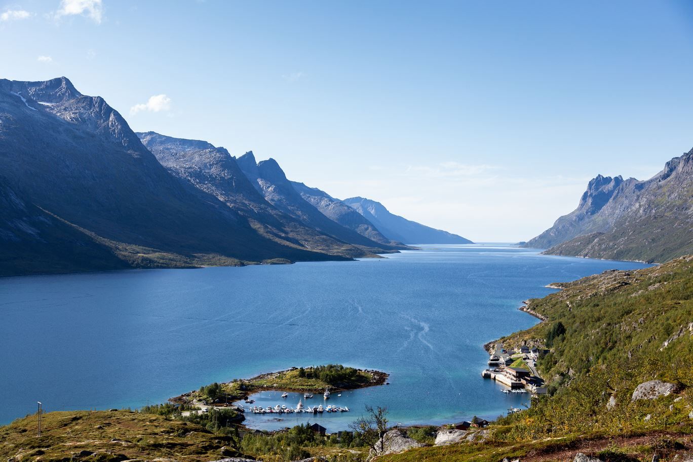 Beside the fjord