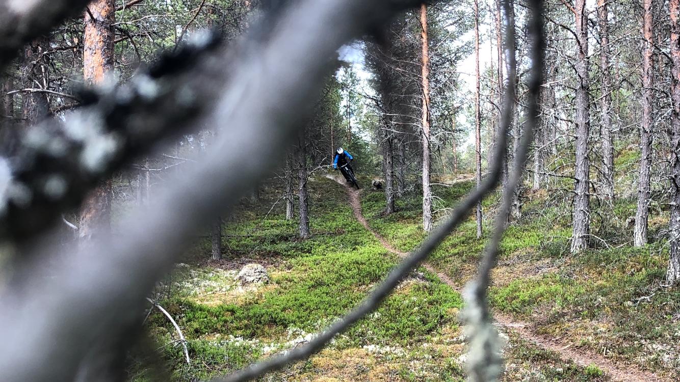 Guiding til de beste stisykkelopplevelsene på Røros-STI